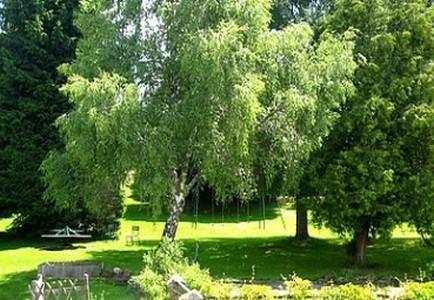 Hotel La Clairiere Chambon-sur-Dolore Eksteriør billede